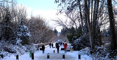 snow-winter-juanita-park-path-storm-people-community-high-res.jpg