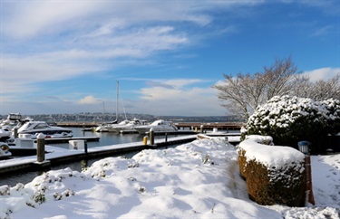 Snow at Marina Park