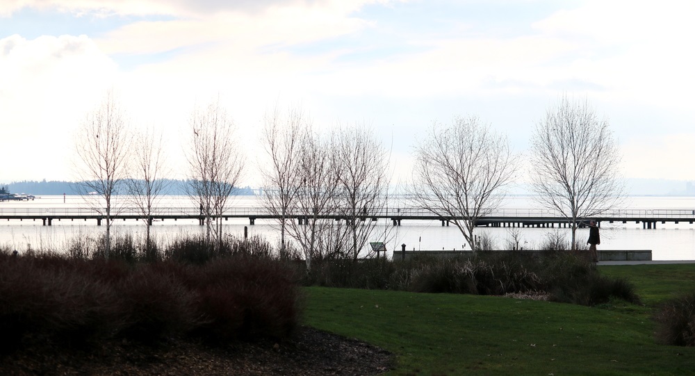 View from Juanita Beach Park.