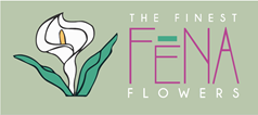 FENA.png
