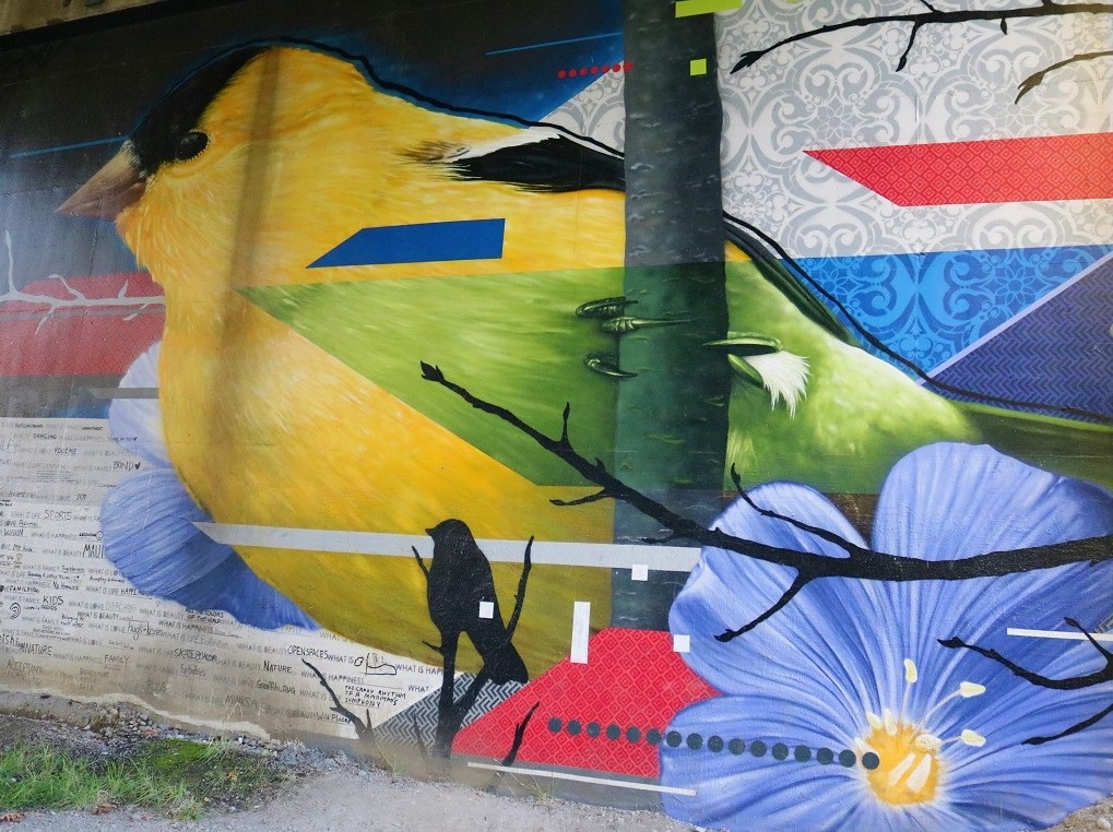 Bright yellow bird in painted mural on underpass along CKC