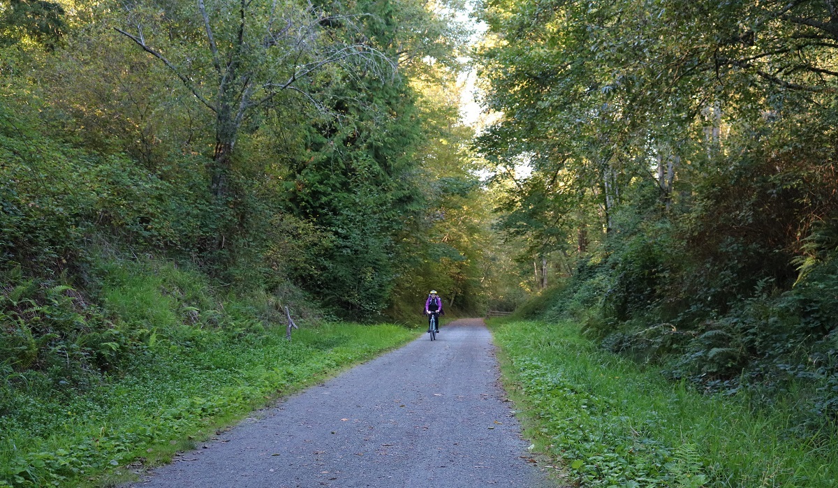 Lone bike rider on CKC with green trees
