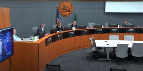 council meeting screenshot July 5 - small.jpg