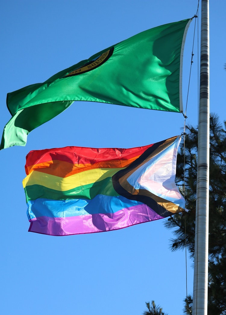 Close up of Pride flag and state flag waving in breeze