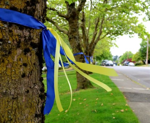 Ribbons 9 - small.JPG