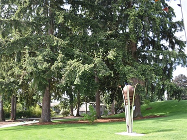 Artwork and evergreen trees at 132nd Square Park