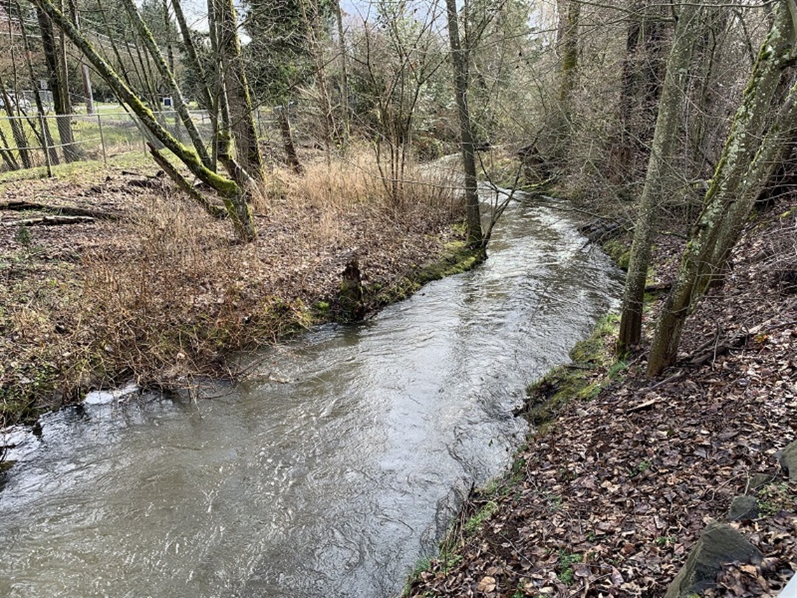 Brookhaven Park stream