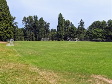 Soccer field in the summer