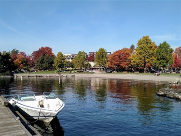Marina Park in the Fall
