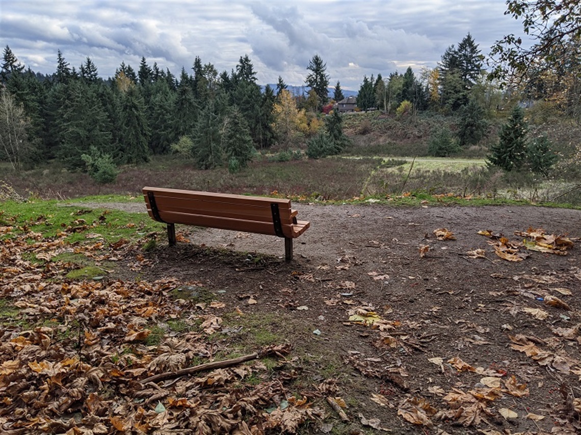 Watershed Park Bench and View