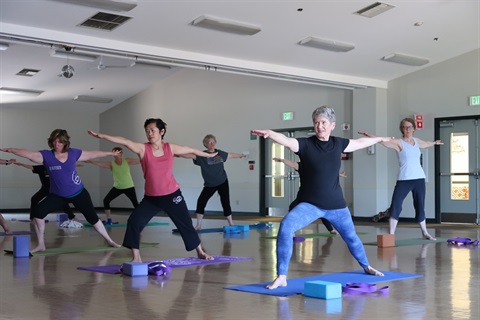 Adult's doing Yoga Post - Warrior Pose