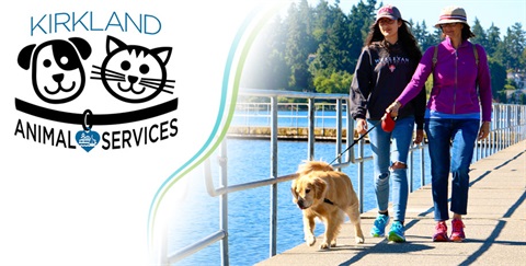 Kirkland-Animal-Services-Banner.jpg