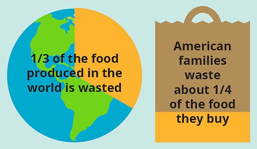 food-waste-statistics.jpg
