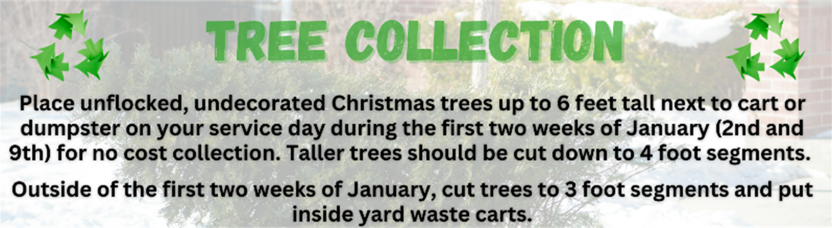 Tree collection infotrees up to 6 feet tall next to cart/dumpster on service day during the first two weeks of January (2nd and 9th) for no cost collection. 