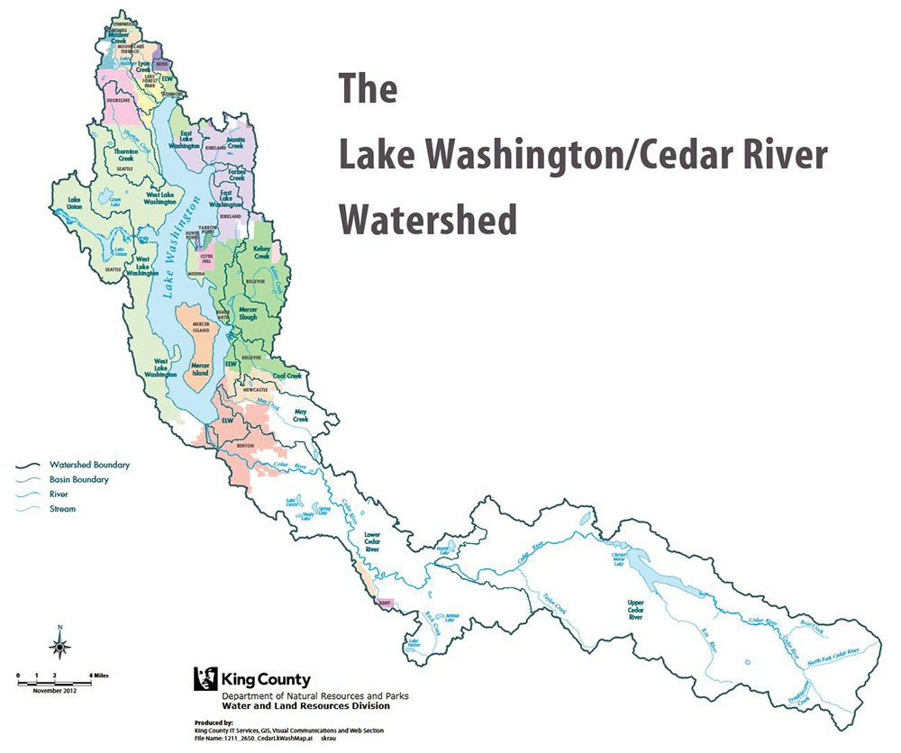 Kirkland's watershed, the area of land where water flows to the same place, is the Lake Washington-Cedar River Watershed