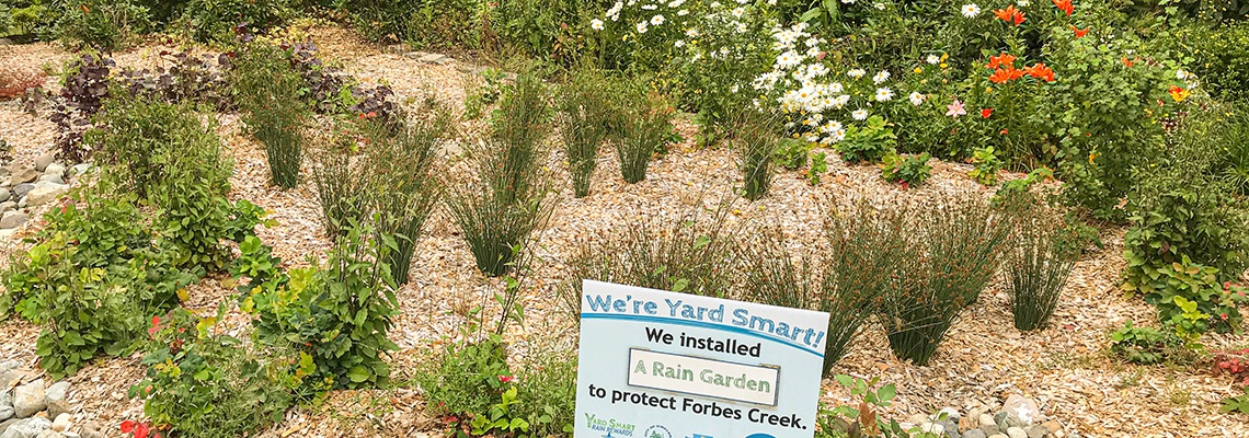 raingarden with yard smart sign