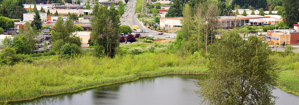totem lake and wetland next to busy neighborhood