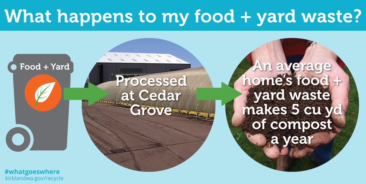 what-happens-to-compost.jpg