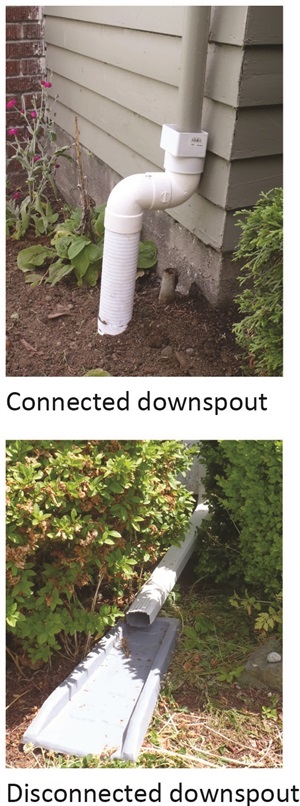 Connected & disconnected downspouts.jpg