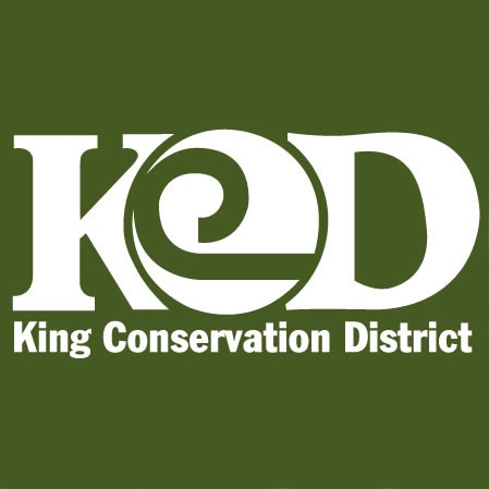 KCD Dark Green Logo.jpg