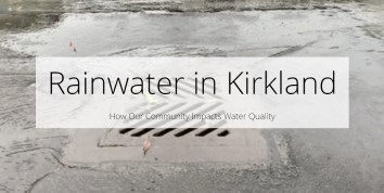 Rainwater in Kirkland story map.JPG