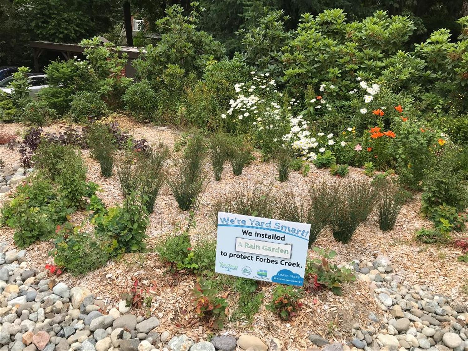 Residential Rain Garden