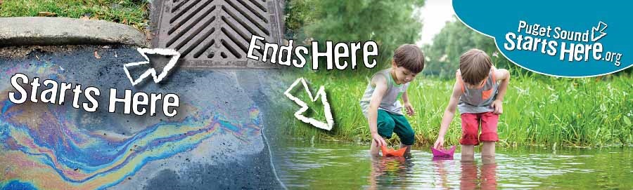 Starts Here Ends Here Stormwater.jpg