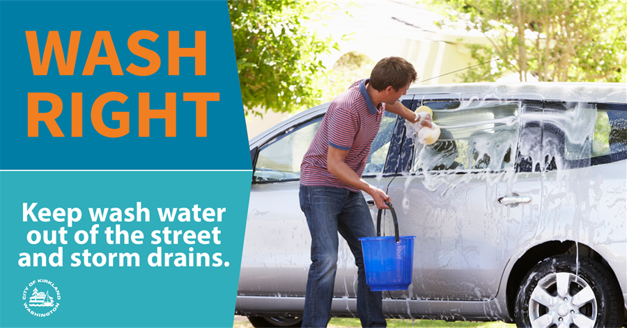 Wash Right: Keep wash water out of the street and storm drains