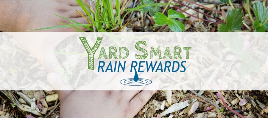 Yard-Smart-Rain-Rewards-Banner-Front-Page.jpg