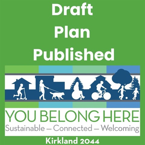 Comp Plan Draft published small.jpg