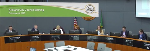 council meeting 20250204 screenshot.jpg