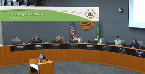 council meeting 20250806 screenshot.jpg
