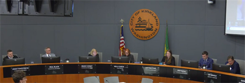 council-meeting-screenshot-20241119.jpg