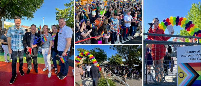 Pride Crosswalk Event 2023 collage.png