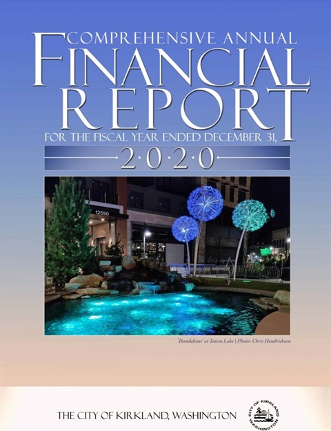 financial report 2020 cover page