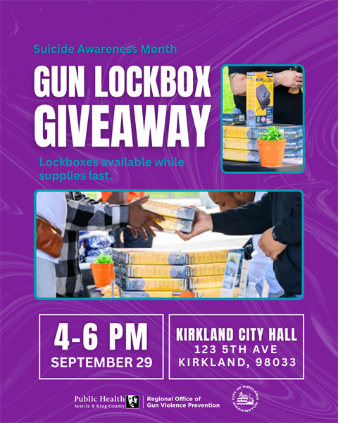 Gun Lockbox Giveaway Flyer