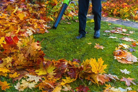 Leaf Blower