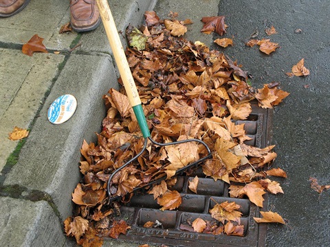 Leaves and Flooding