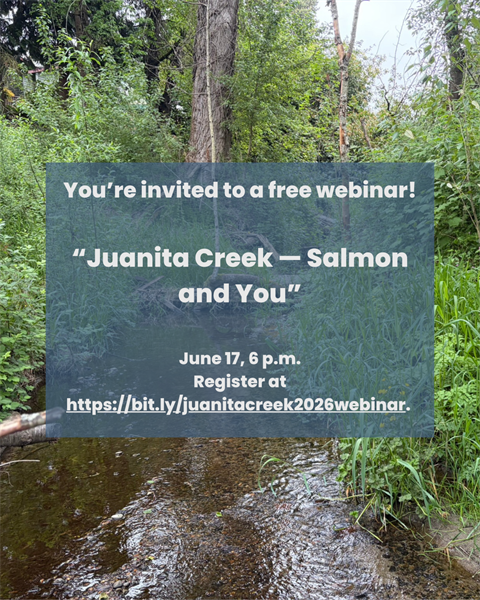 image-cmo-juanita-creek-webinar-20260527.png