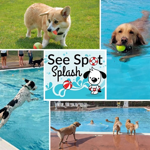 Graphic shows a See Spot Splash logo featuring a cartoon dog in a life preserver and is surrounded by photos of actual dogs at the event