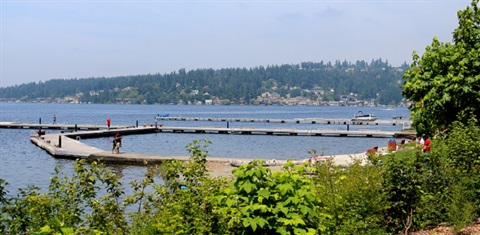 Waverly beach with dock out over the water and green shrubbery in the foreground