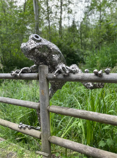 Metal tree frog sculpture climbing over a wooden fence.