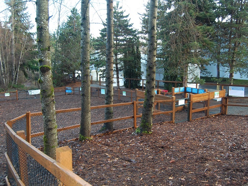 Jaspers Dog Off-Leash area