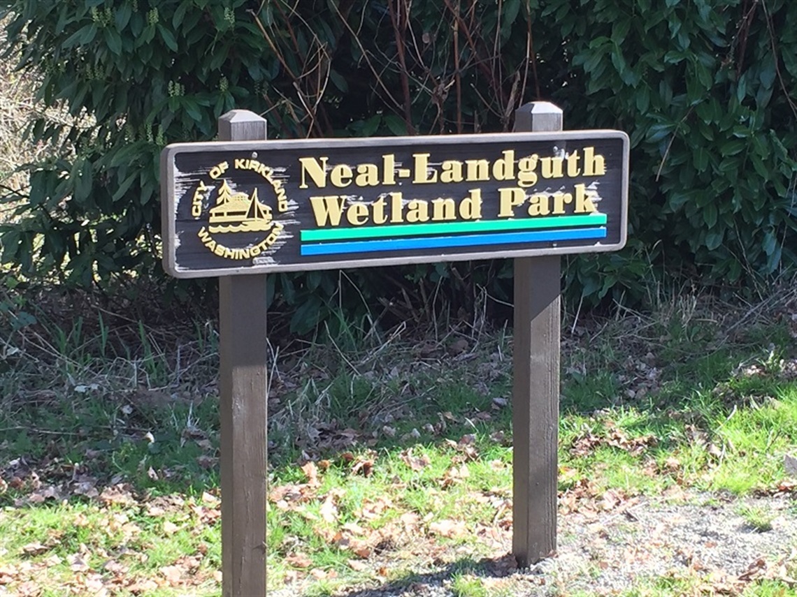 Neal Landguth Wetland Park