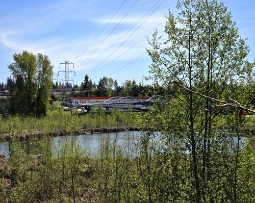 Totem Lake and surrounding wetlands
