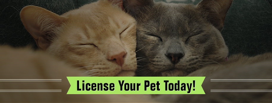 Animal-Services-License-Your-Pet-Banner.jpg