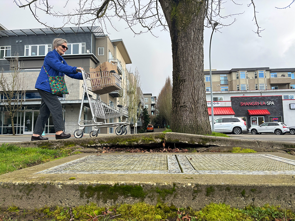 KIRKLAND-AVE-elderly-woman-pushing-cart-web.jpg