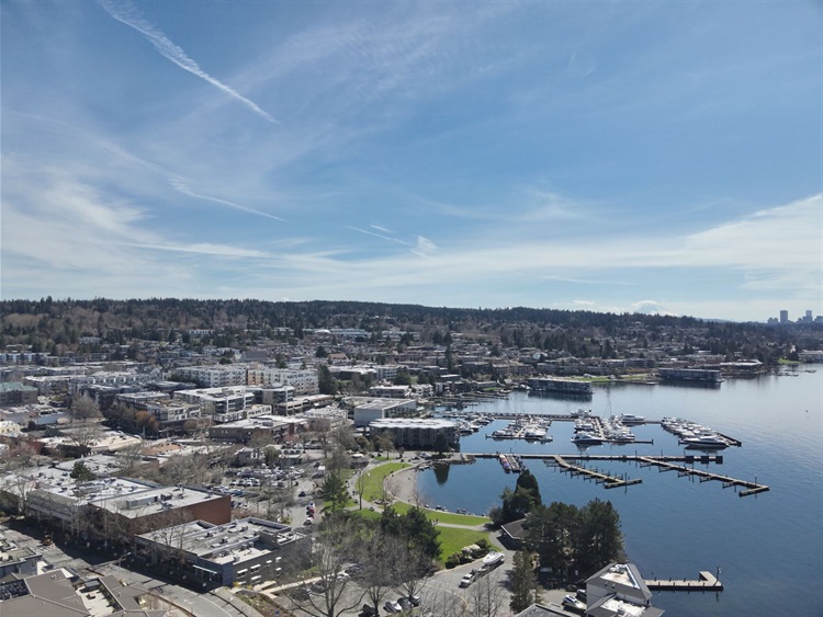 Marina Park Dock and Shoreline Aerial image