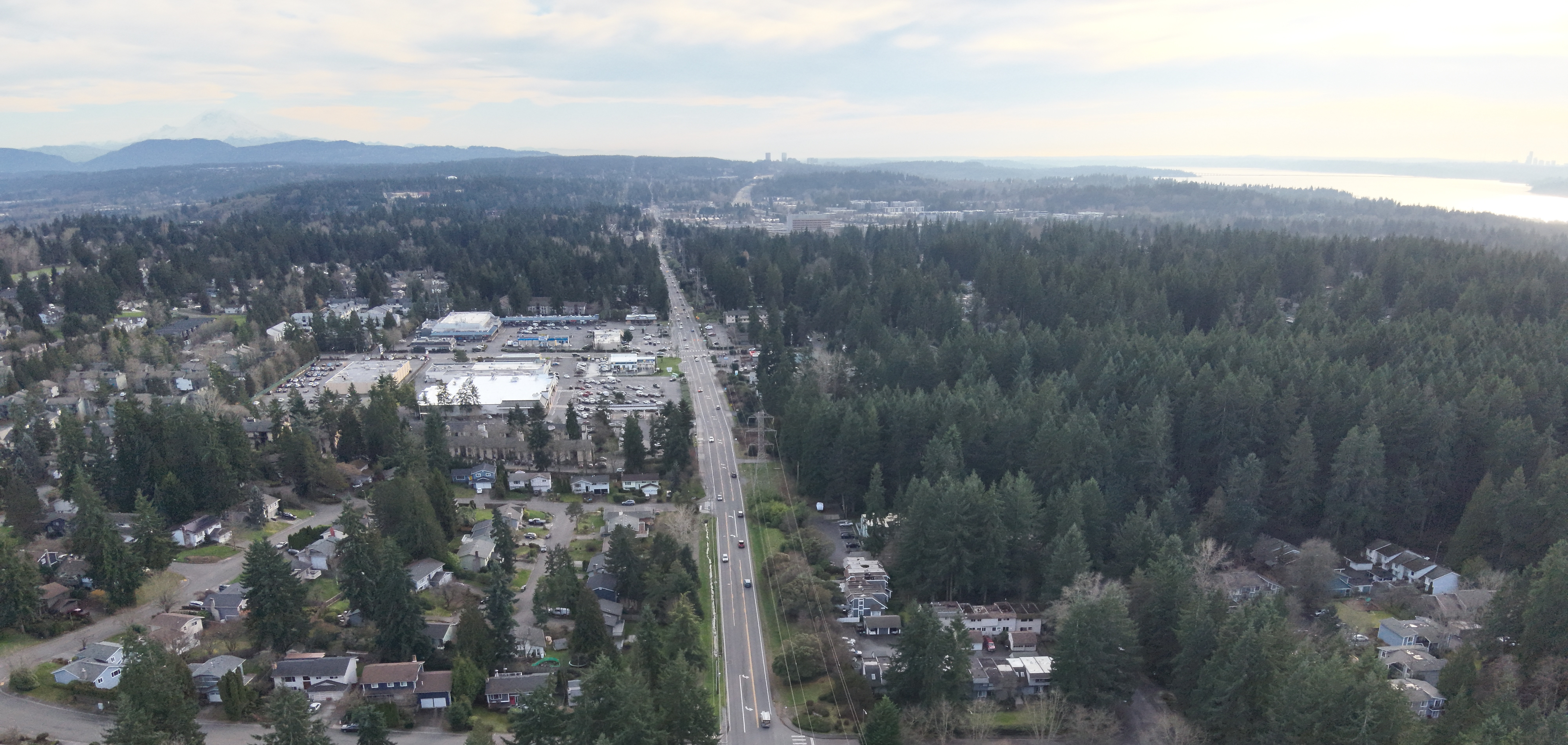 Aerial image of 124th Ave NE Facing South