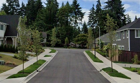 Photo of a developed street with curb, gutter, sidewalk, and street trees